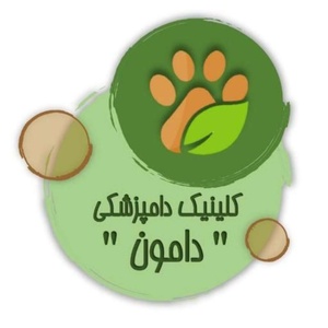 امیررضا دوستار قاسم آباد