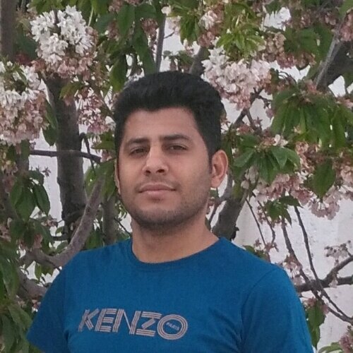سید رضا شاهگل نژاد