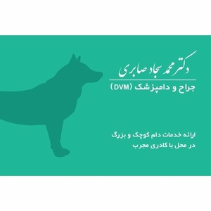 محمدسجاد صابری