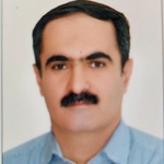 علی رضا معین