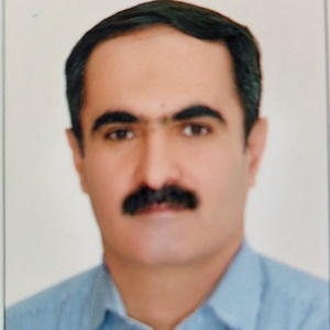 علی رضا معین