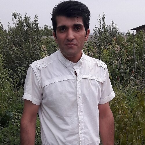 مهدی آرمون