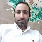 حمید شاددل