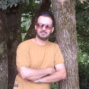 حامد شریفی