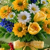 آسیه گنجی