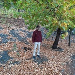 علی فداکار