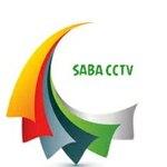 امیر محمود صباغ صالحانی