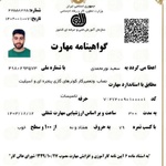 سعید نورمحمدی