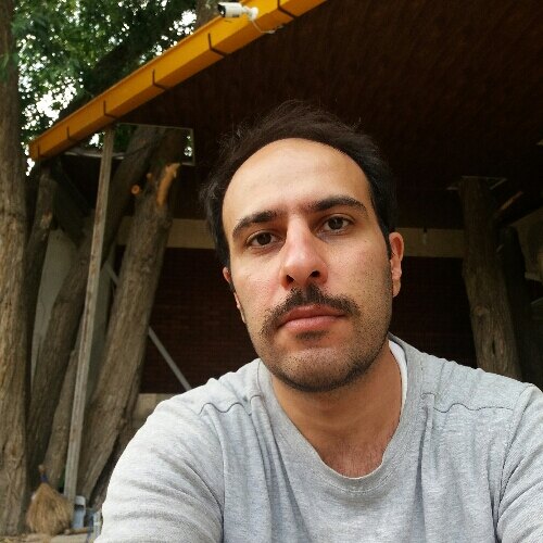 حامد شاهین جاوید