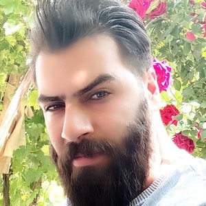 سید حامد حسینی