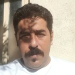 محمد محبی مقدم