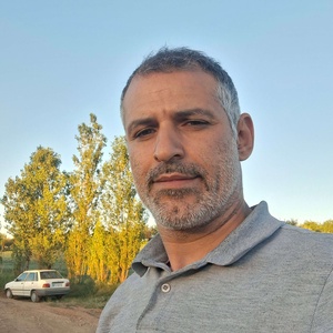 وحید پاشائی