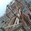 تصویر پروفایل مسلم محمدیان