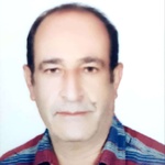 محمد ولی الهی