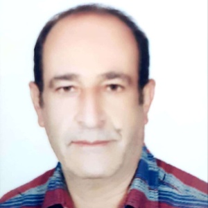 محمد ولی الهی