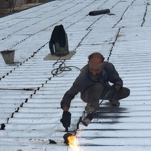 امیرحسین عباسی