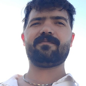 علی سیاهوشی