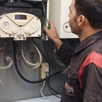 سعیده بیگدلی