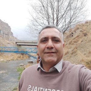 محمد باقر ازوی