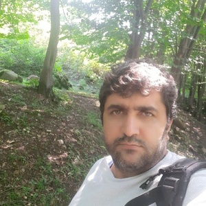 سامان سبزی