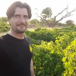 تصویر پروفایل داود عبدلی