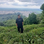 سجاد مرتضی قلی زاده