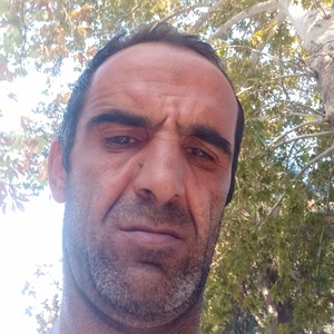 قاسم سلگی