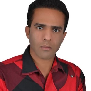 سید محمد علی جانمی هنزا