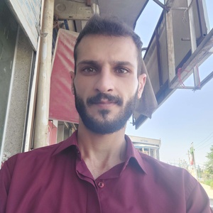 علی روحی