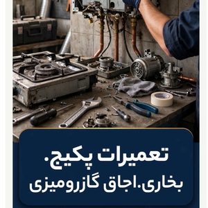 مصطفی نبئی