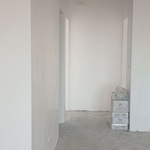 فرشید همتی نوع دوست گیلانی