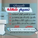 داریوش سلمانی