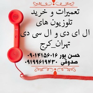 سعید حسن پور