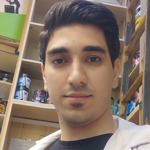 حامد بهارلویی یاسه چاهی