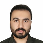 سید علی رضوی