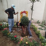 صادق سبحانی