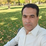 وحید منصوری
