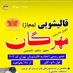 وحید ظاهری