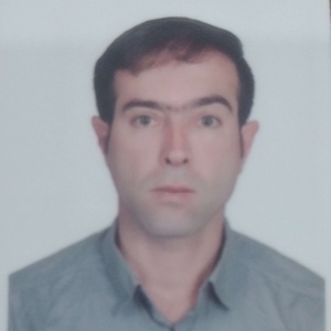 شاهین نعیمی