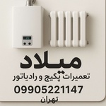 میلاد ملکی الهی