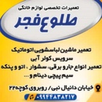 مهدی دانایی سرشت 