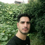 مجید ناصری