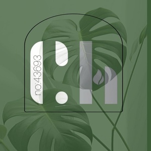 مهشید حسنی فر