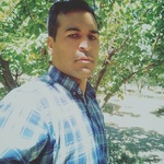 تصویر پروفایل داود مرادی