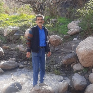سعید علی