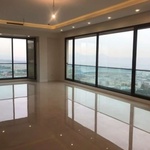 علیرضا سلیمانی