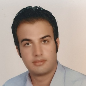 حسین خواجه فرخی