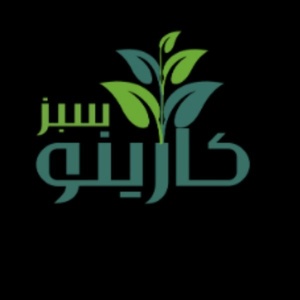 امین آورس