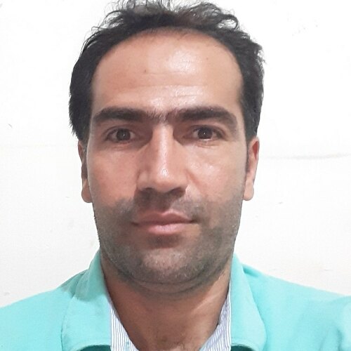 محمود کاشکی