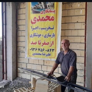 علیرضا محمدی